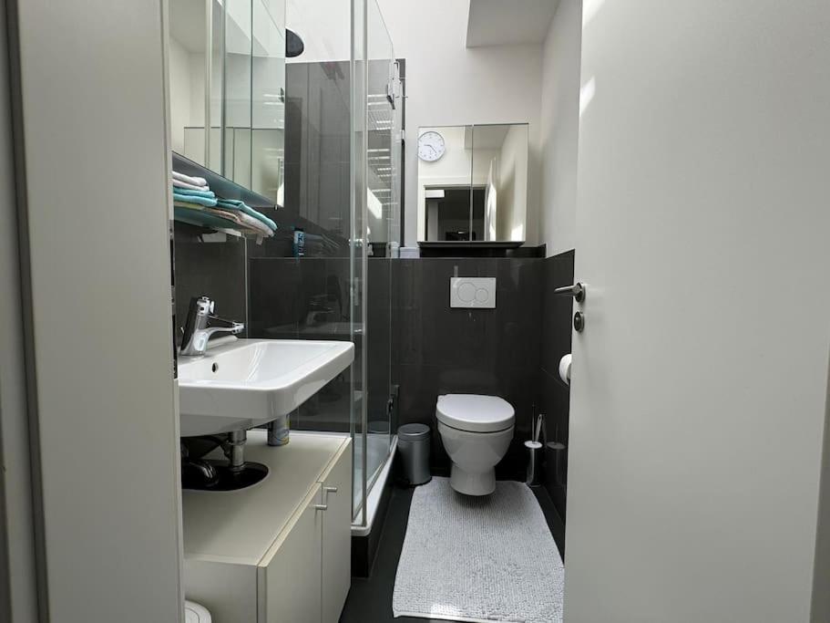 6 Zimmer Maisonette-Penthouse Pool Dachterrasse Luxus ميونيخ المظهر الخارجي الصورة